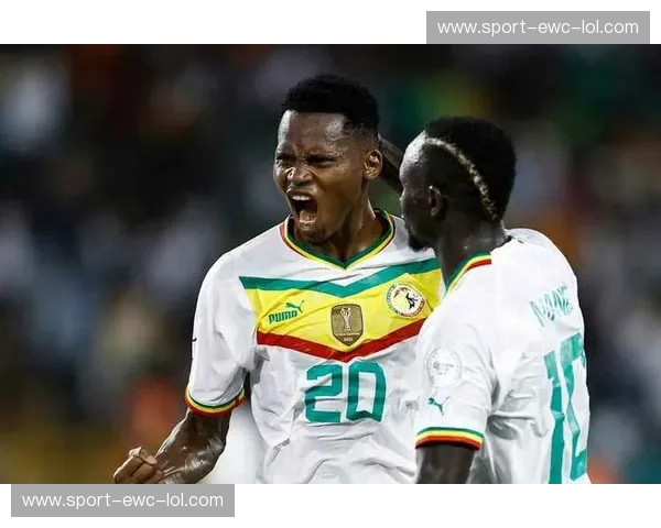 数据非洲杯完整版——深度解析非洲足球盛宴的精彩瞬间